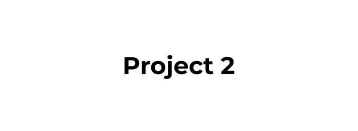 Project 2